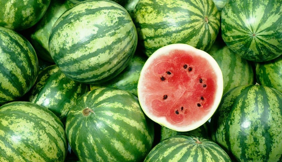 Watermelon Mini Session Kingwood